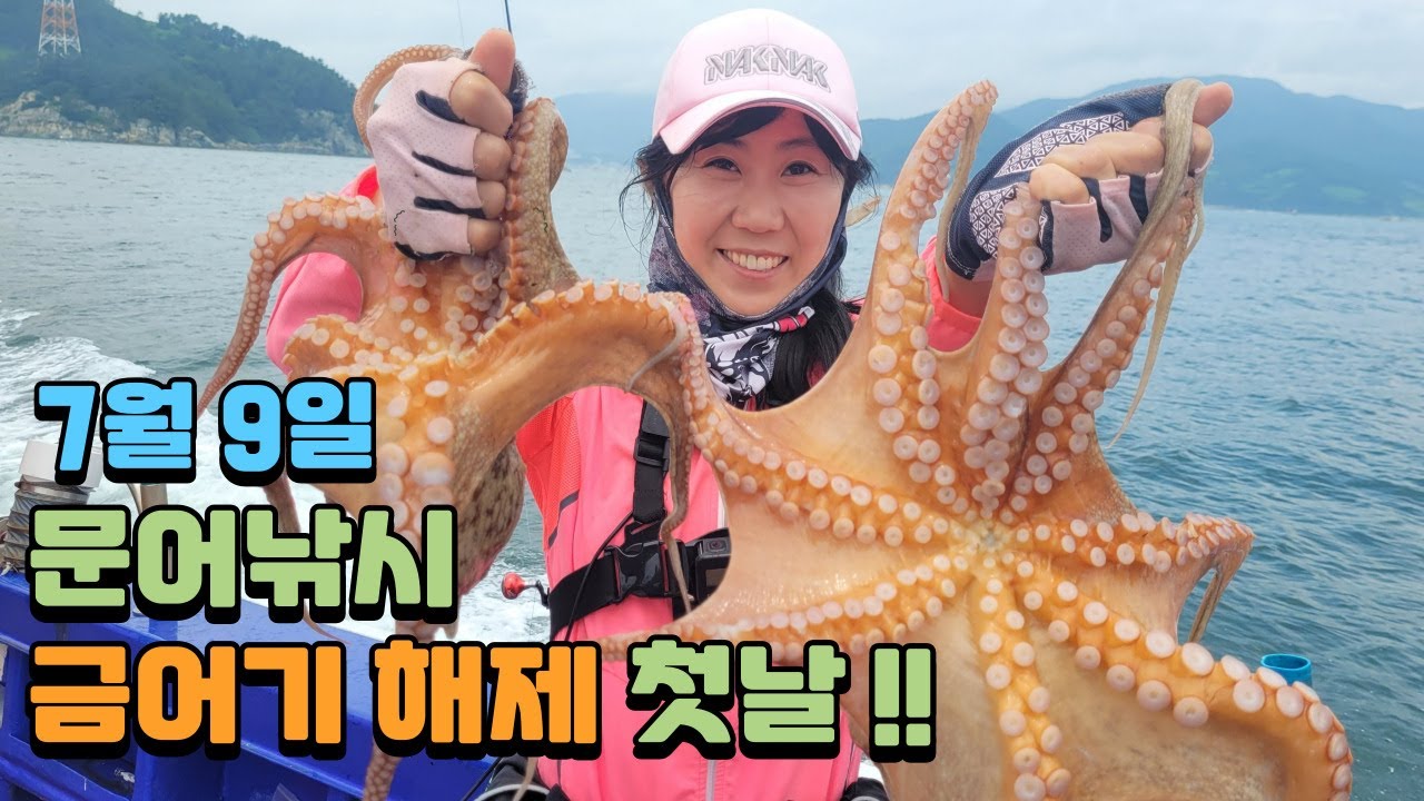문어낚시 7월9일 금어기해제 첫날 여수권 조황