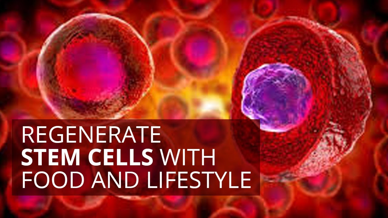 Regenerate Stem Cells with Food and Lifestyle