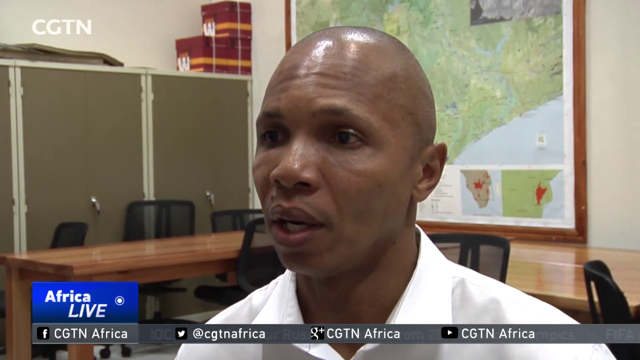 Over 20 rhino poachers arrested in Kruger National Park in the past two weeks