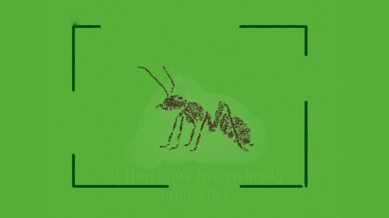 El Horizonte Invertebrado - Julio Aller