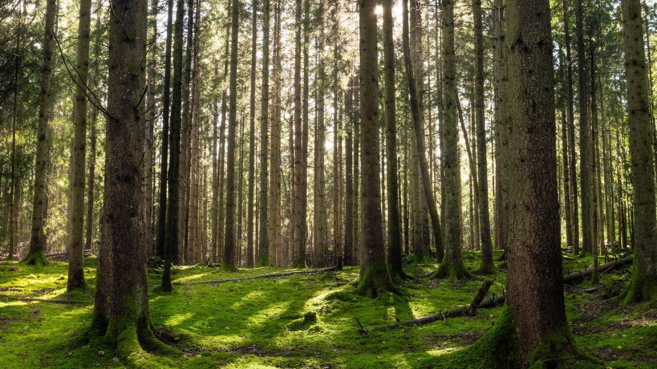 Enjoying the last of summer. Nature photography