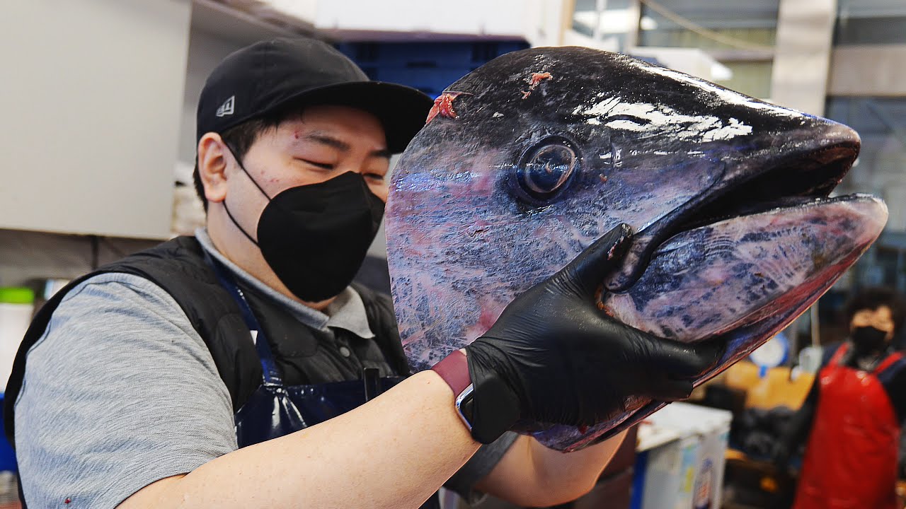 국내산 생참치 49,000원?? ㅁㅊ 가성비 85kg 생참치 / Tuna Cutting Show
