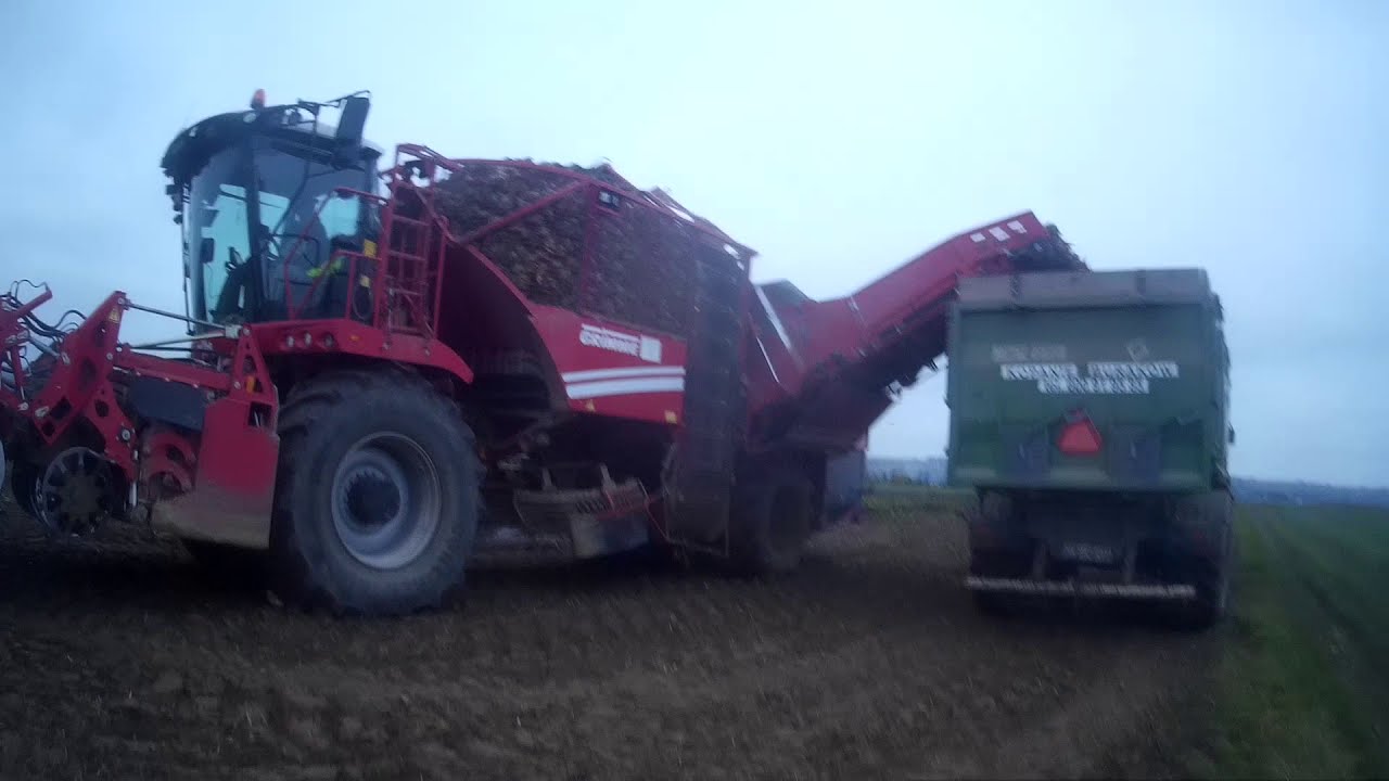 Kampania Buraczana 2020 z przebojami czyli wizyta u Państwa Rewerów/Grimme Rexor 620
