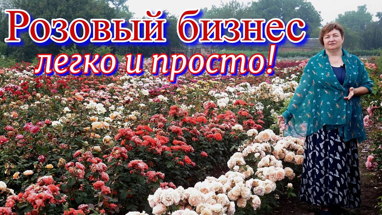Розовый бизнес легко и просто!