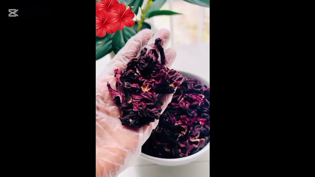COMMENT PRÉPARER LA POUDRE HIBISCUS MAISON 