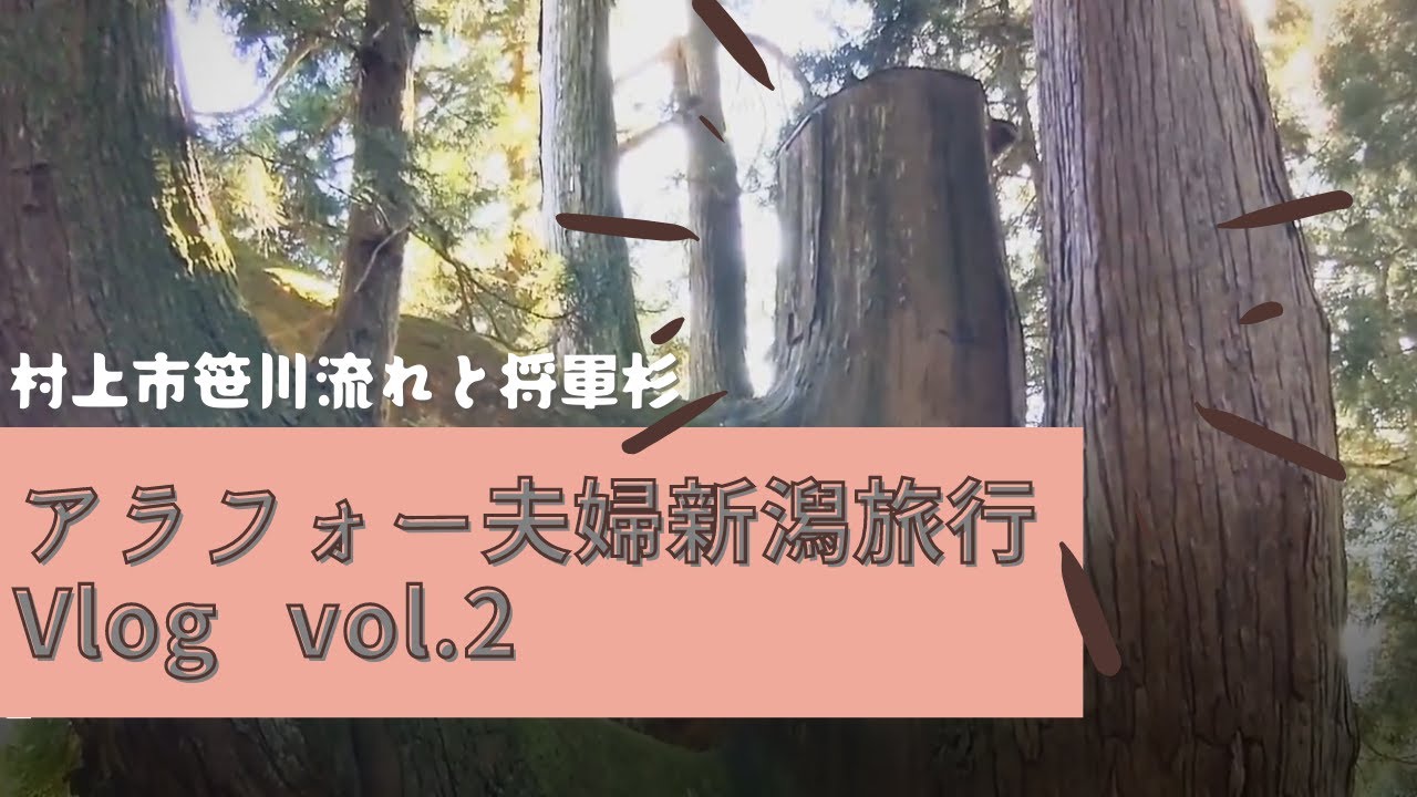 【新潟旅行】【2日目】【アラフォー夫婦Vlog】笹川流れ遊覧船と将軍杉。最後は日本酒で〆！