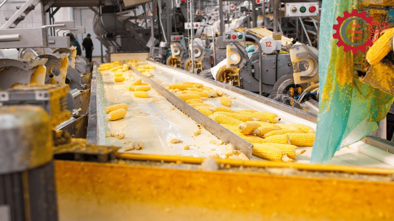 Top 5 Modern Machines for Processing Agricultural Products