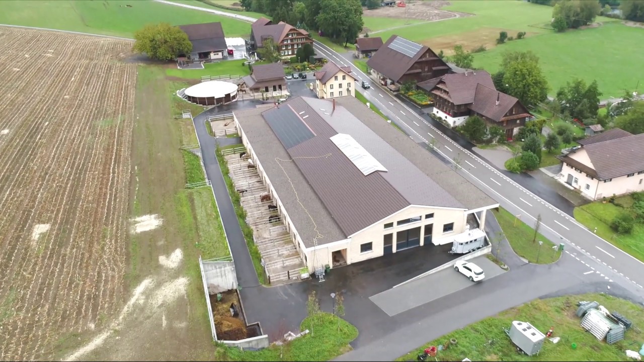 Hestar Hof Heller, Reussegg (AG)