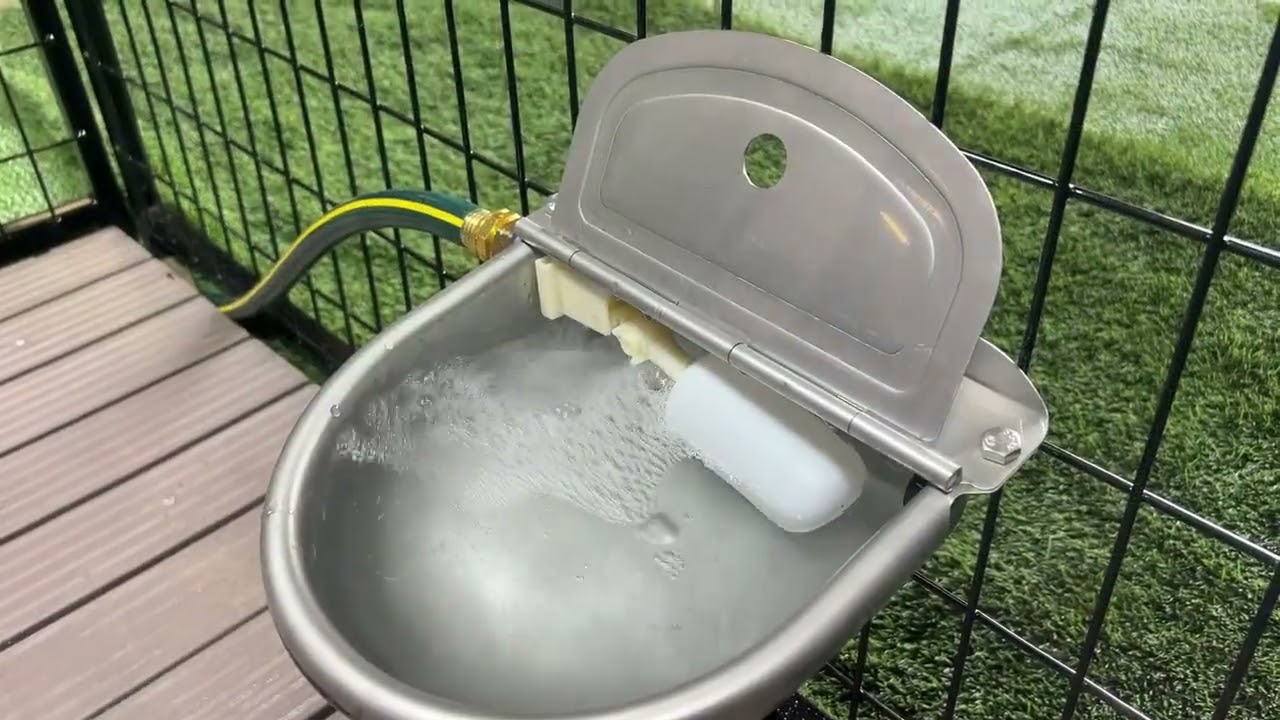stainless steel auto waterer video