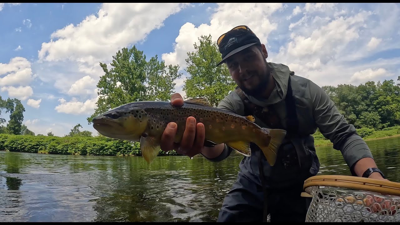 A Day Well Spent | Trout Spey, Nymphing, and Dry Fly Eats on the Delaware River