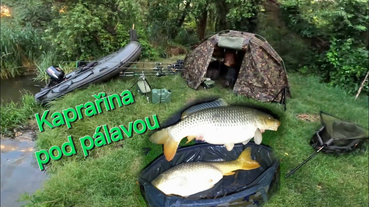 Kaprařina pod pálavou , carp fishing
