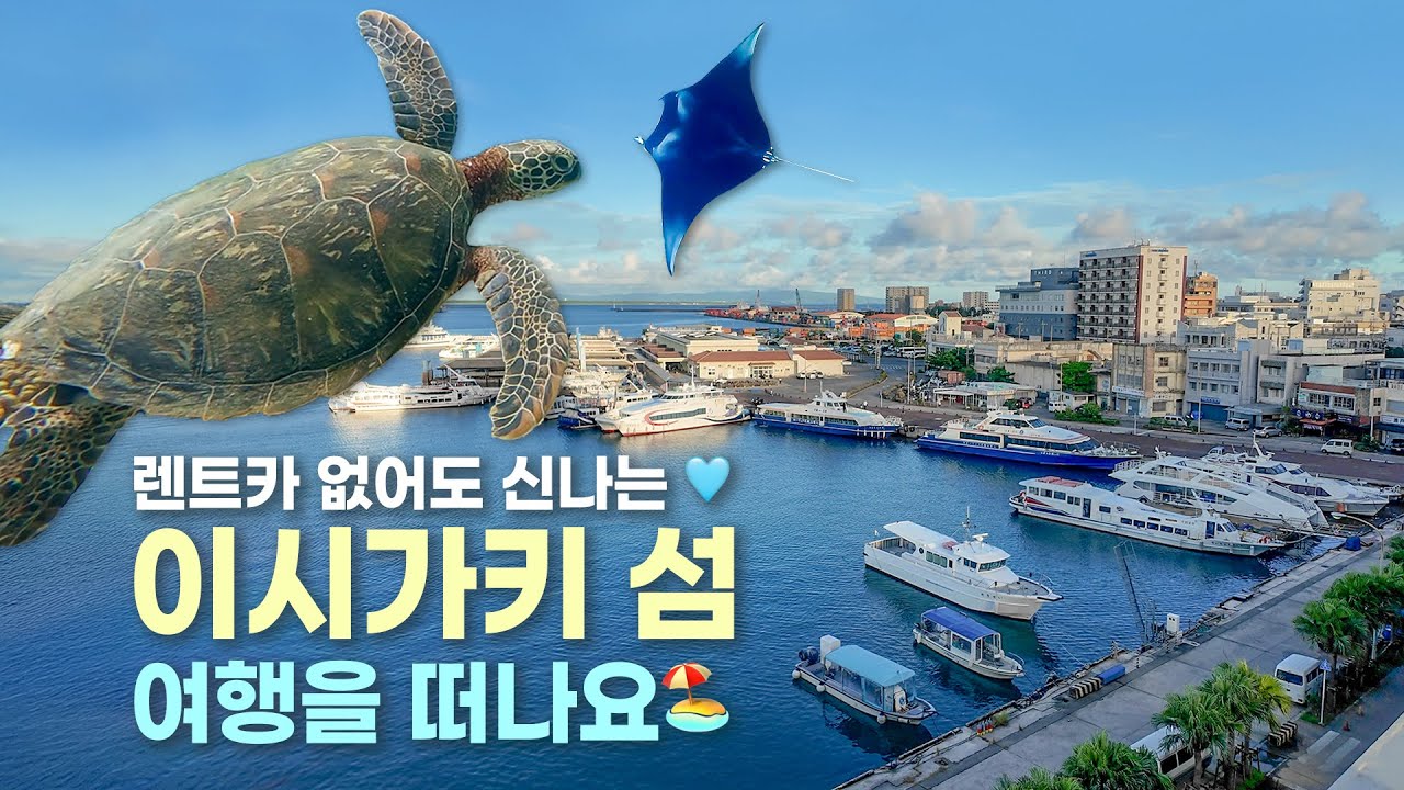 실전 5박6일 이시가키지마 여행 | 렌트카 없어도 만타 스노쿨링, 맛집, 호텔 잘다닌 꿀단지 vlog✨