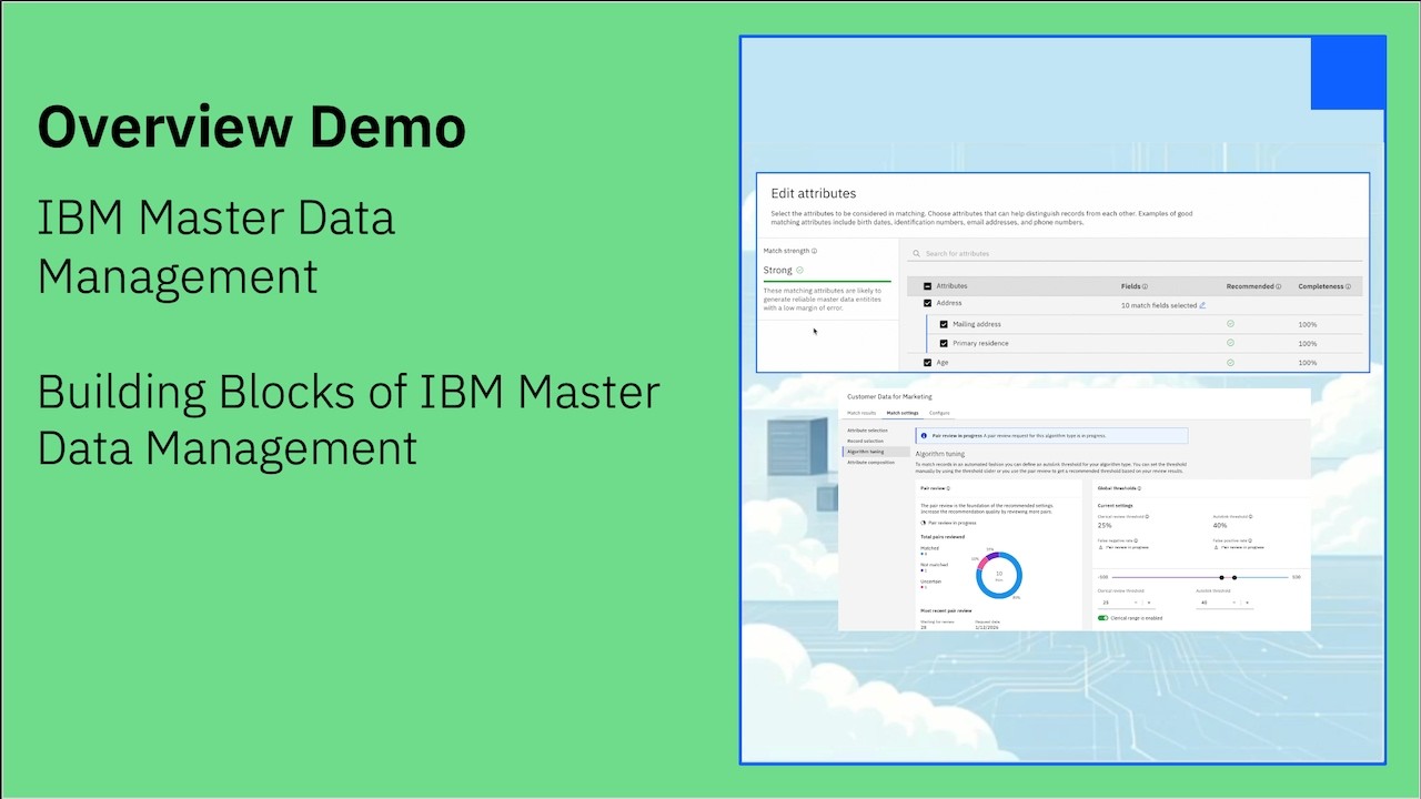 Освоение основ: базовые элементы управления основными данными IBM.
