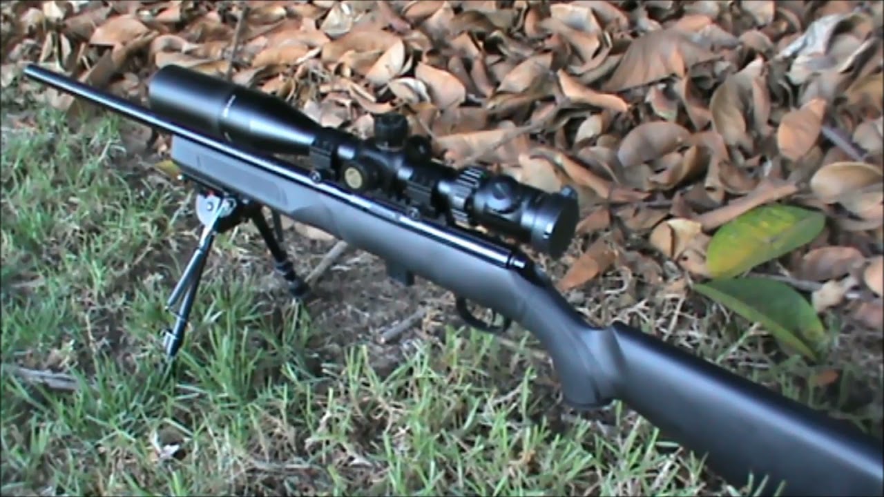 Marlin model XT 22  100m to 300m