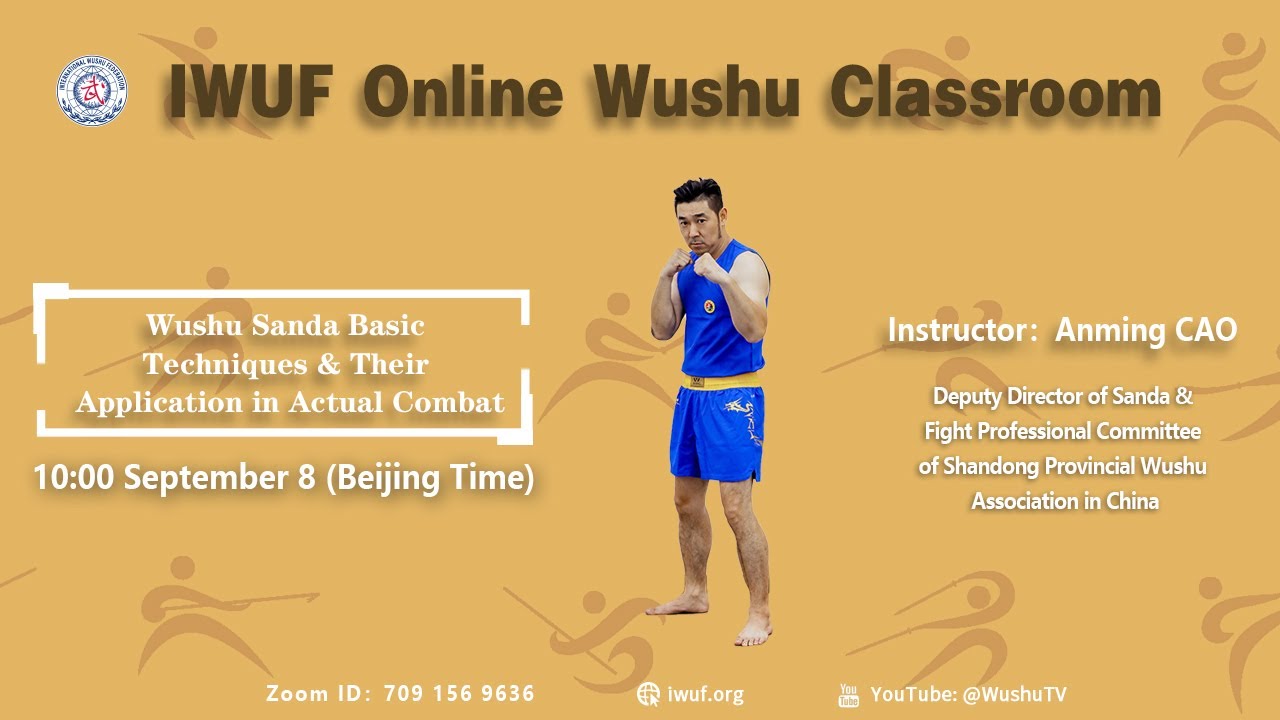 55. Wushu Sanda Basic Techniques & Their Application in Actual Combat