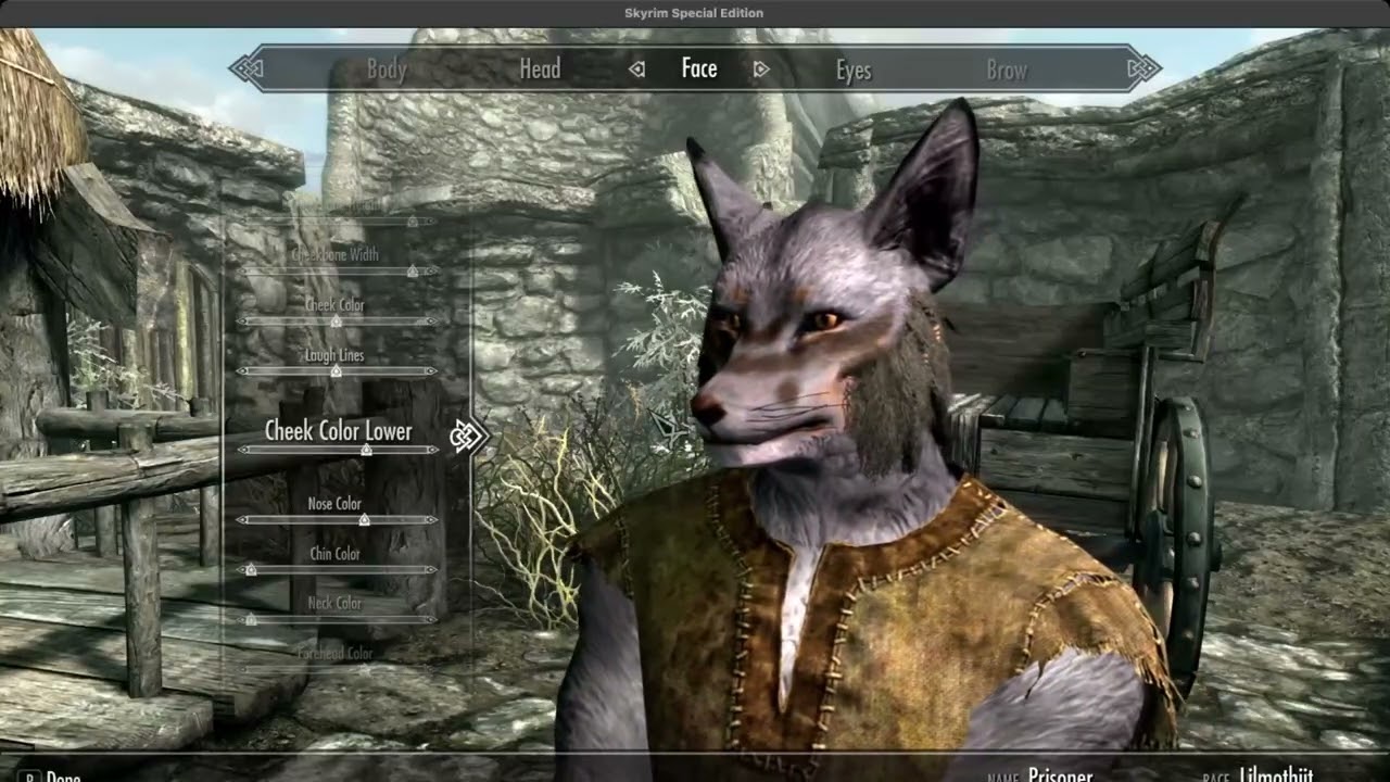 Shadow Plays Elder Scrolls V Skyrim (Modded) part 1 (No Commentary)