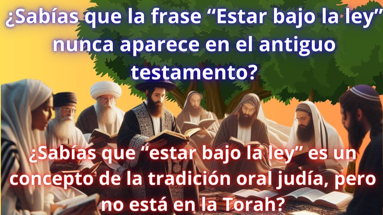 La VERDAD sobre la frase 