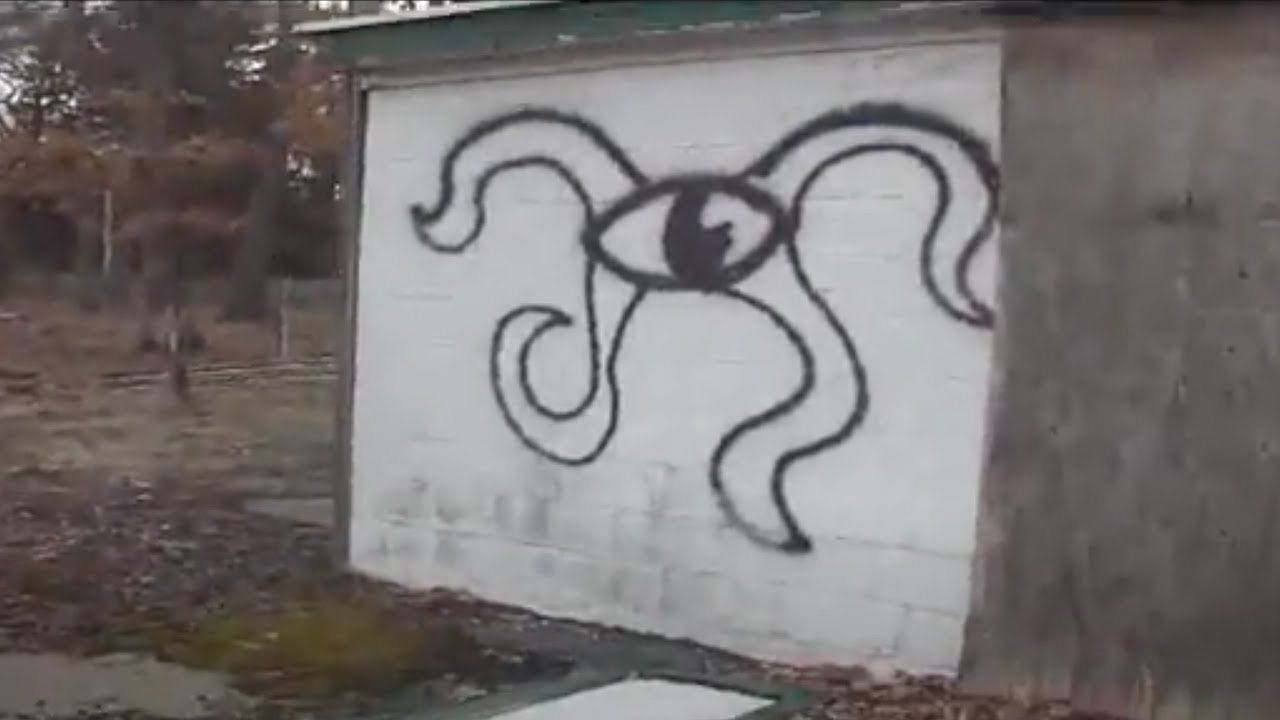 the black book.wmv