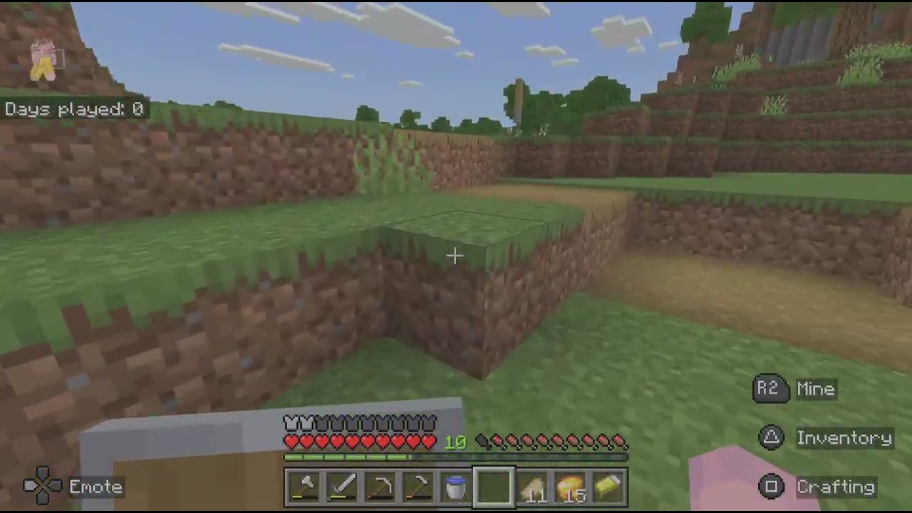 My Minecraft experience