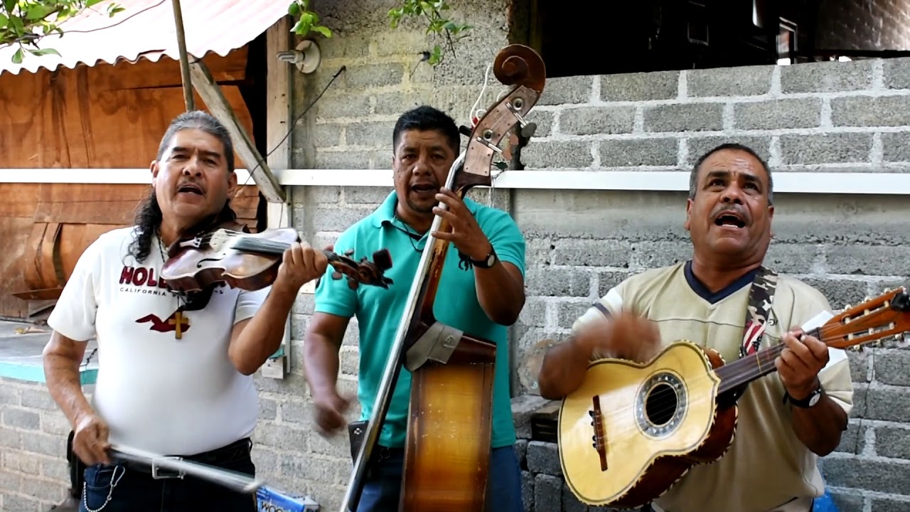 Los Reales De Michoacan - El Aparatito