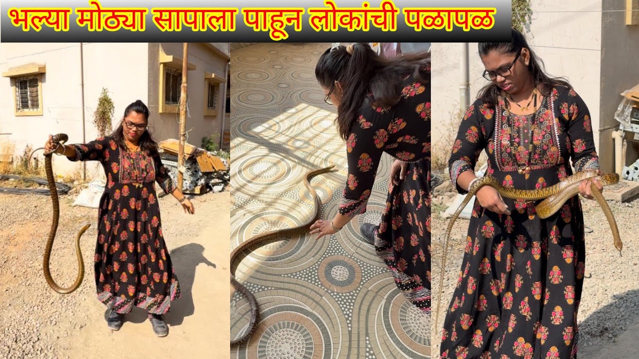 😀🐍भल्या मोठ्या सापाला पाहून लोकांची पळापळ झाली🐍😀