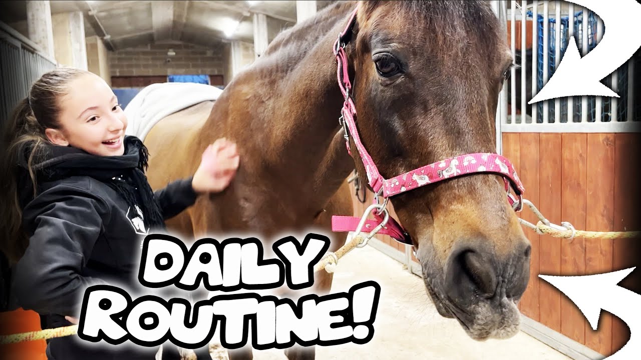 ⭐️ DAILY ROUTINE IN MANEGGIO .. NUOVI ACQUISTI ! 🤩