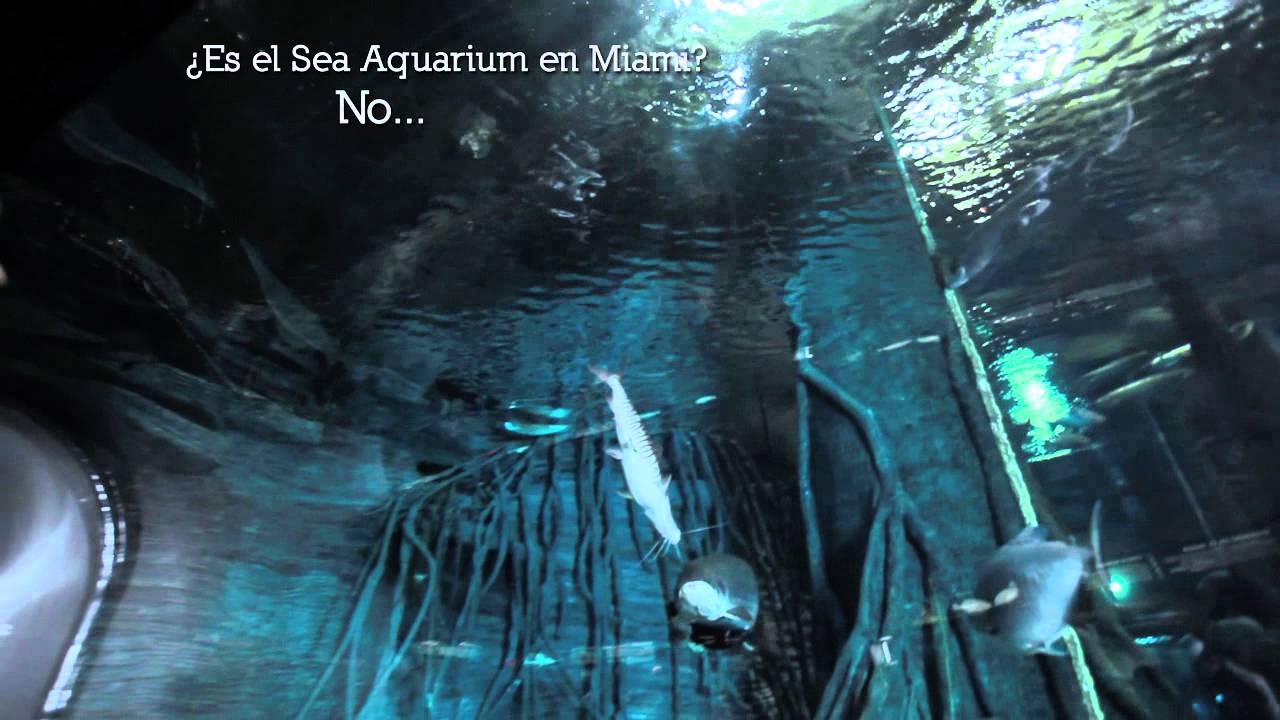 Acuario Parque Explora
