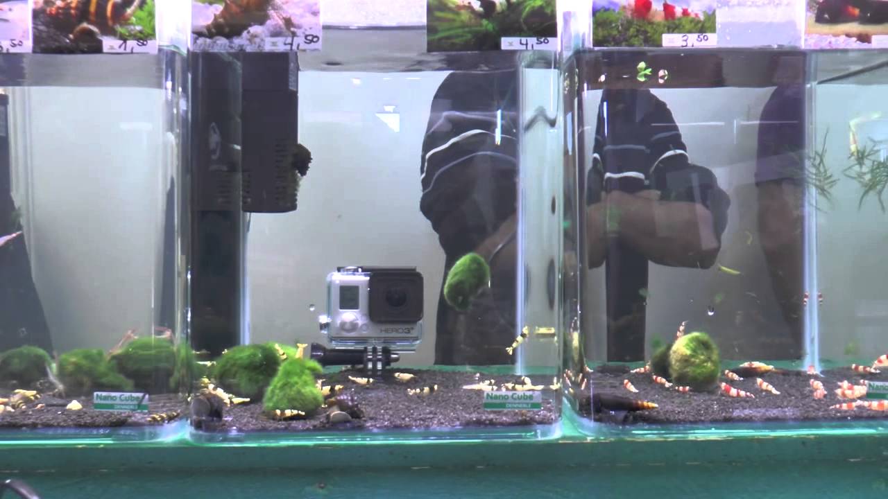 Aqua Expo Tage 2014
