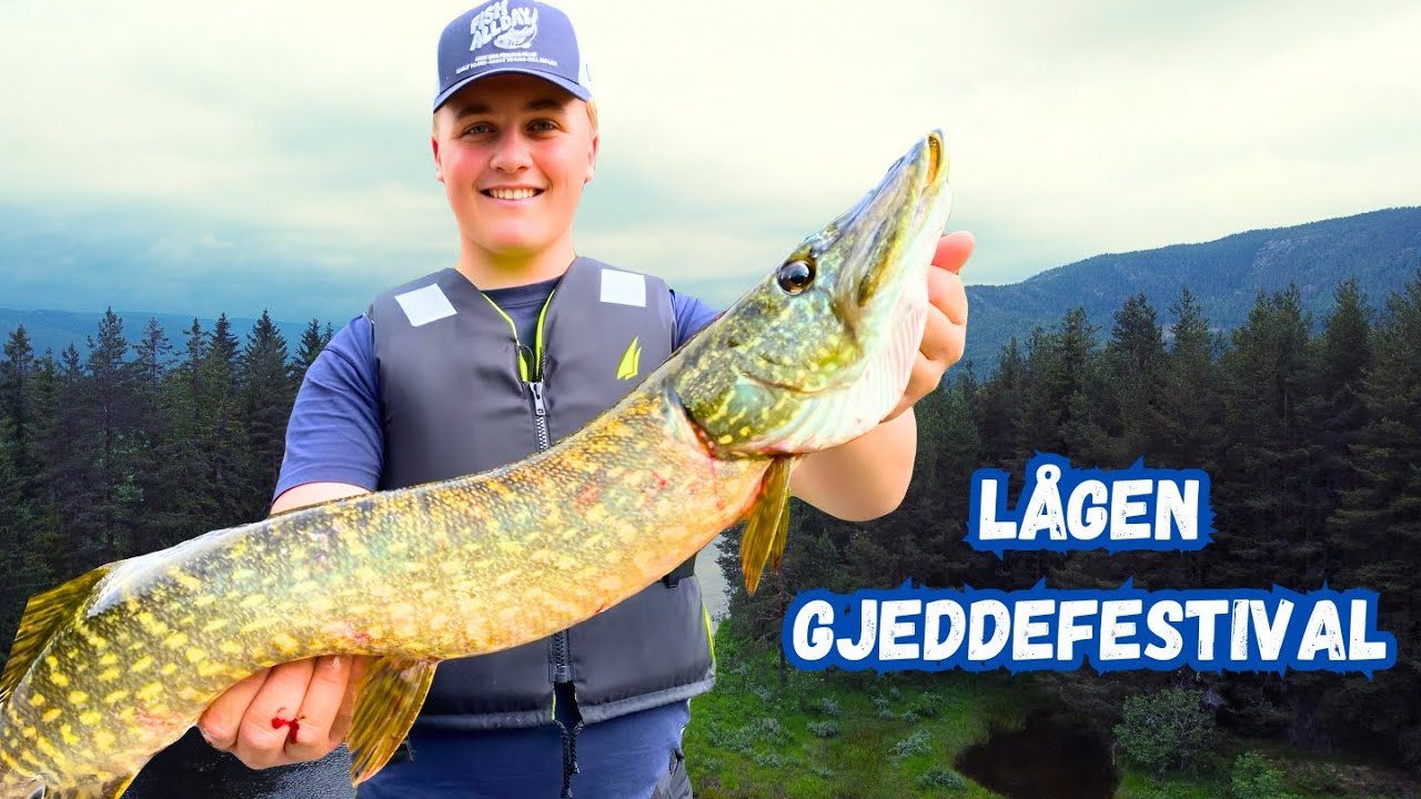 Lågen gjeddefestival 2022!🔥 //GJEDDEFISKE🐊