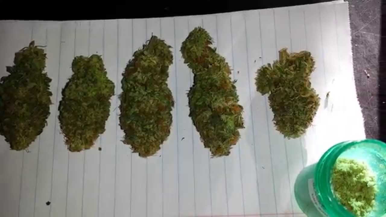 Harvest GDP x PC