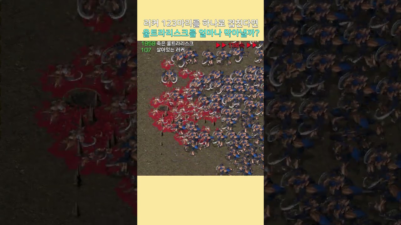 러커 123마리를 겹치면 울트라리스크를 얼마나 막아낼까?