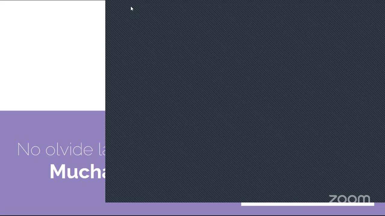 Aulas GH - Ateneo UCIP LATAM - Zoom (11)