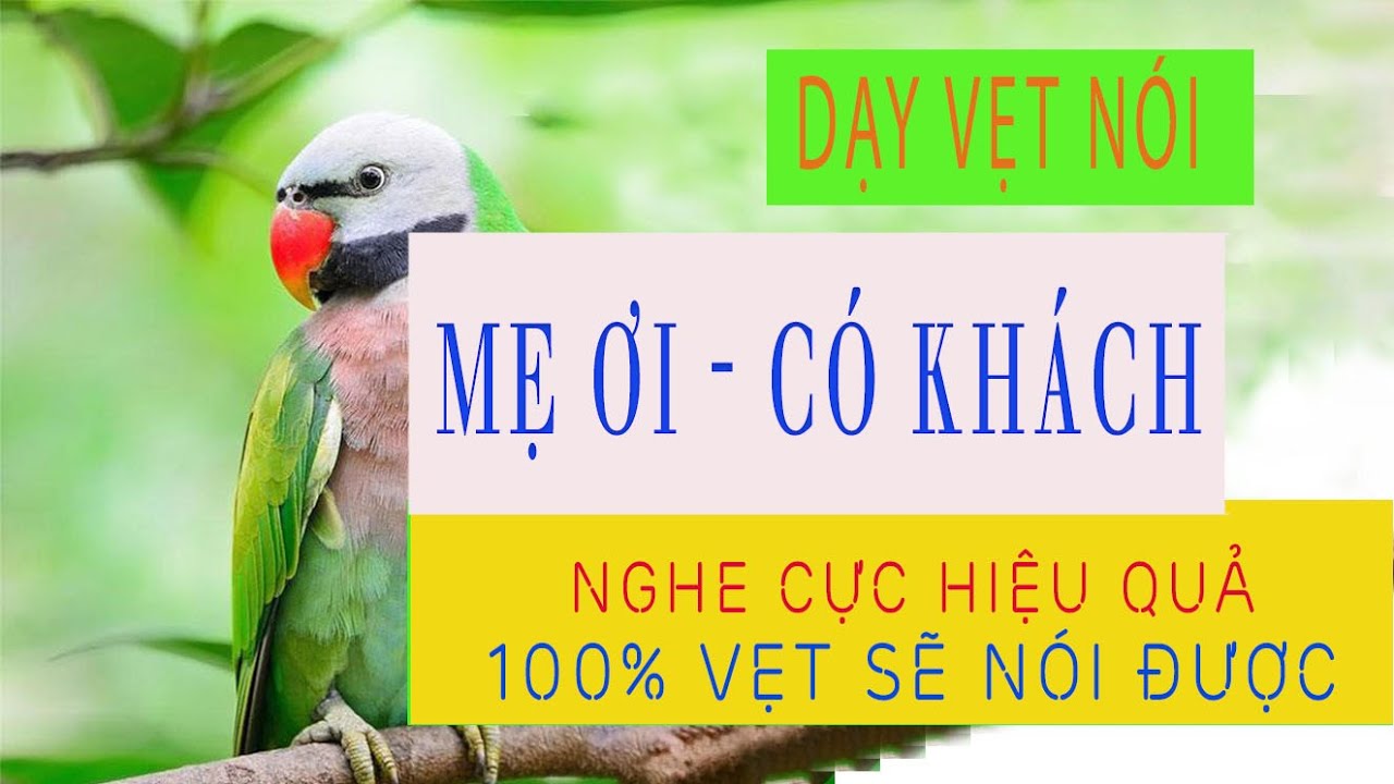 014. Dạy vẹt nói - MẸ ƠI, CÓ KHÁCH - Giọng người thật, hiệu quả 100%