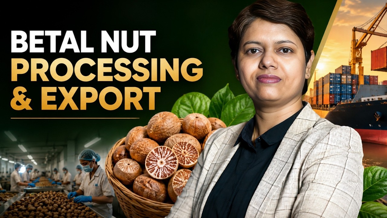 Betal Nut Processing and Export I KDSushma I Export Opportunities