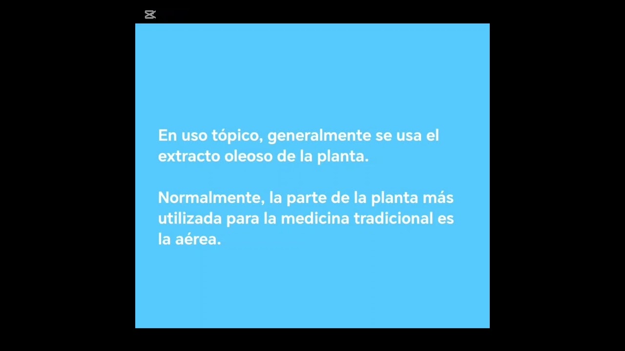 🌼🌿Hipérico 🌿🌼 Propiedades Medicinales 