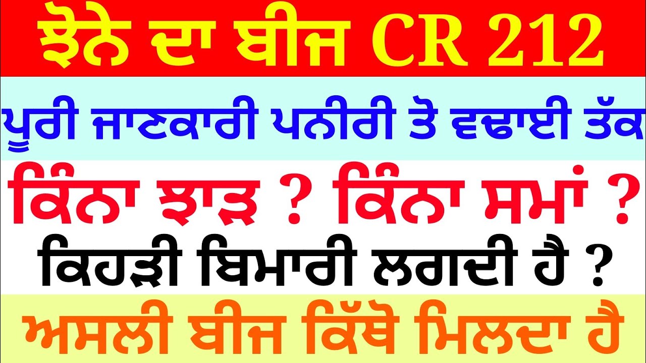 Paddy Seed CR 212 || ਝੋਨੇ ਦੇ ਬੀਜ ਦੀ ਪੂਰੀ ਜਾਣਕਾਰੀ