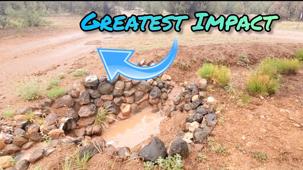 Permaculture Driveways/Pathways Designed For Rainwater Harvesting