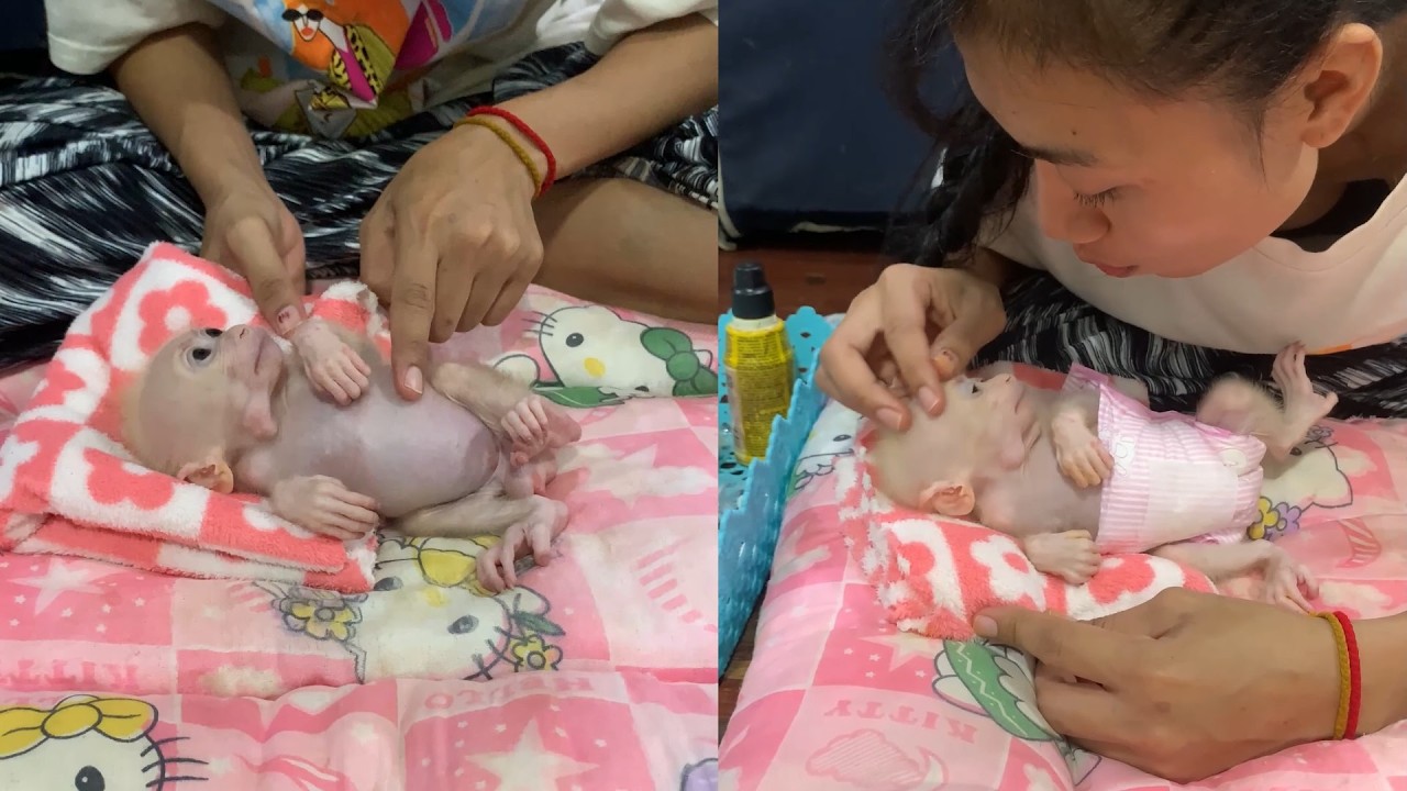 Sweet Baby Monkey Care Routine 🐵🛁💗 | Gentle Tummy Rubs & Cozy Moments