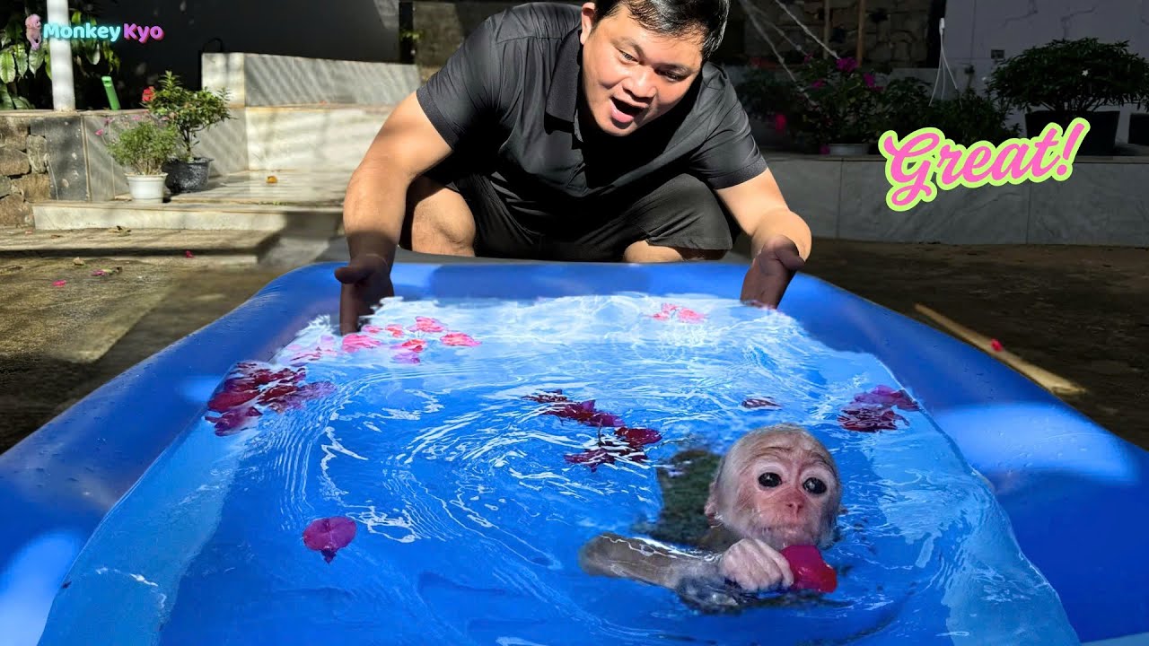 Athlete Kyo pulled the swimming pool out onto the field to swim –  A funny sight!