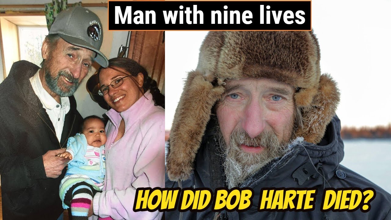 What Happened to Bob Harte From 