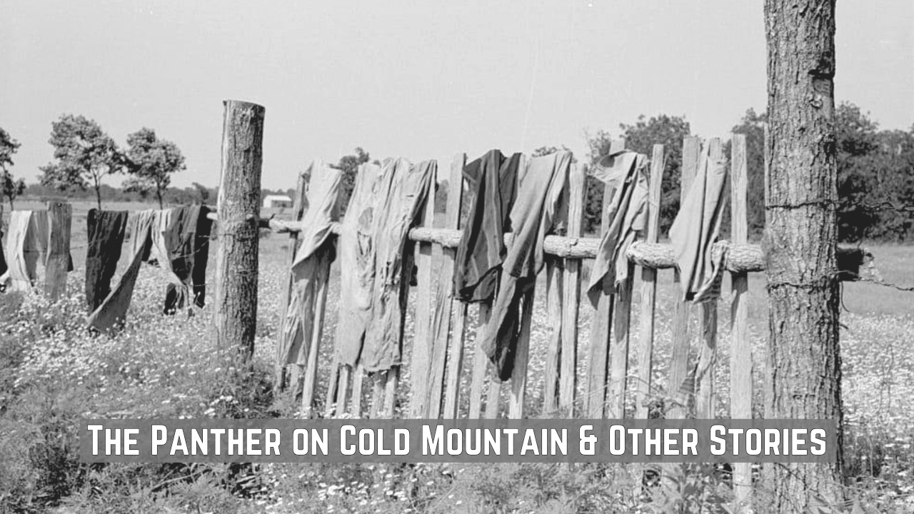 Wash Day & Old Friends - The Panther on Cold Mountain & Other Stories 10