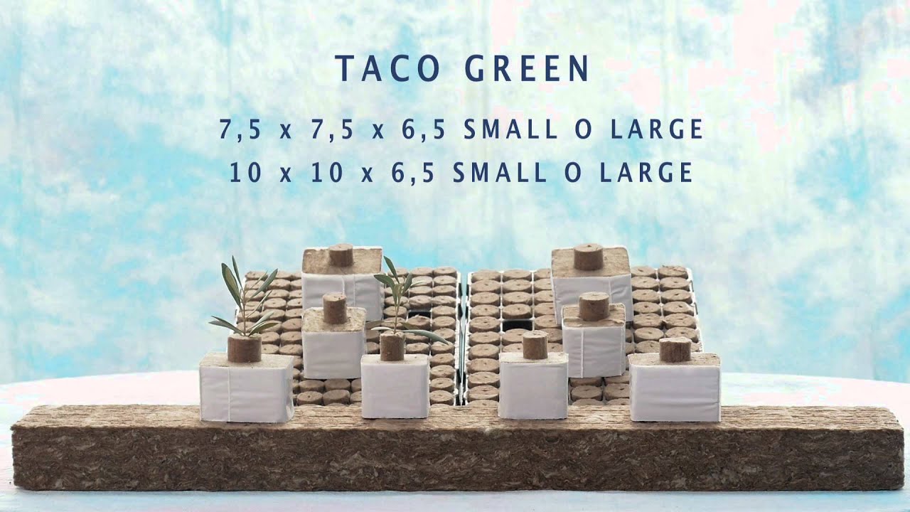 Speed Grow Green - Lana de roca