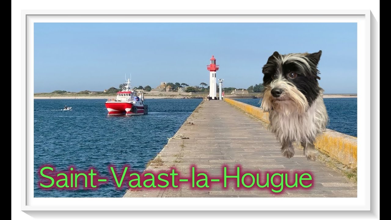 🇫🇷 Saint-Vaast-la-Hougue - Normandie - Frankreich - Mobby on Tour Sommer 2021 de