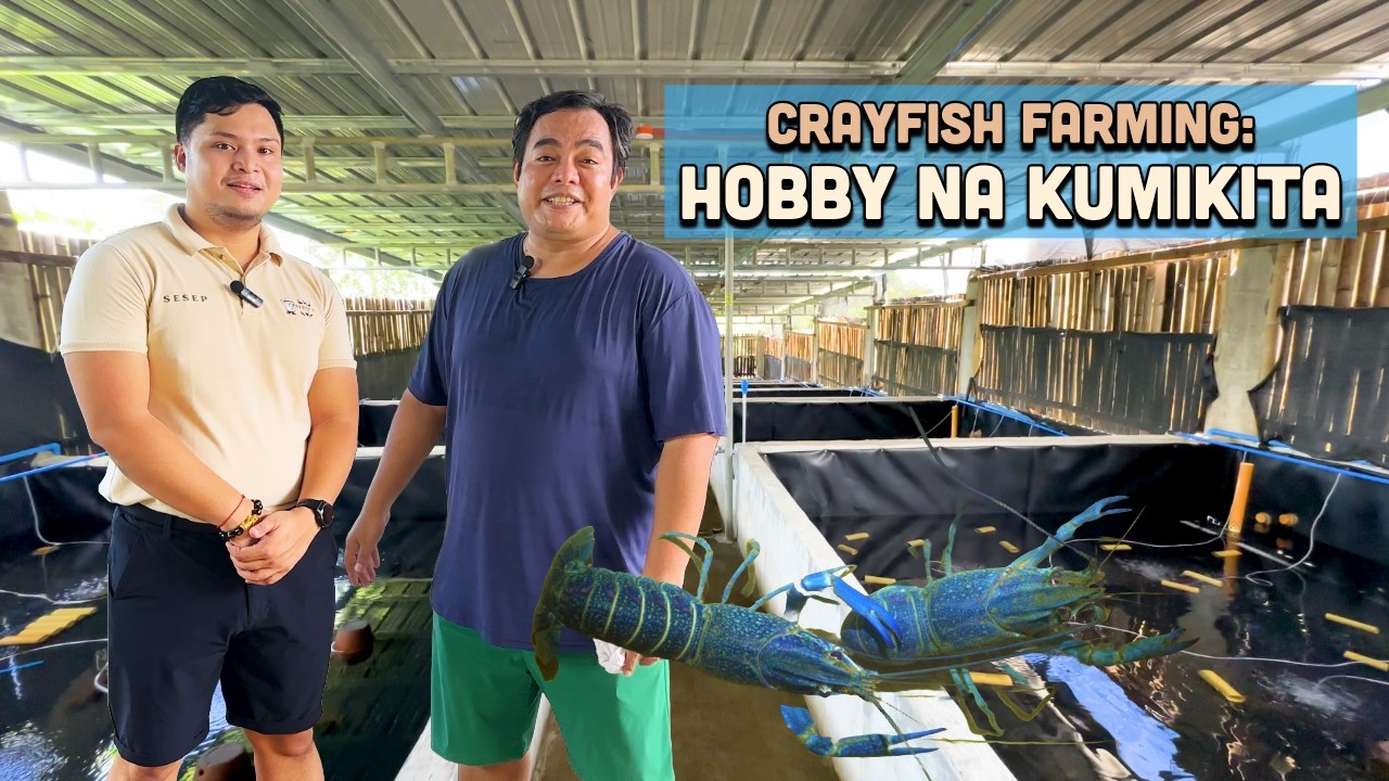HDPE Crayfish Ponds Ginamit sa Crayfish Farming