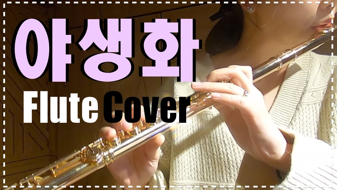 박효신 야생화를 플룻으로 불어보면 어떤 느낌일까?  [Flute Cover, 영스플룻]