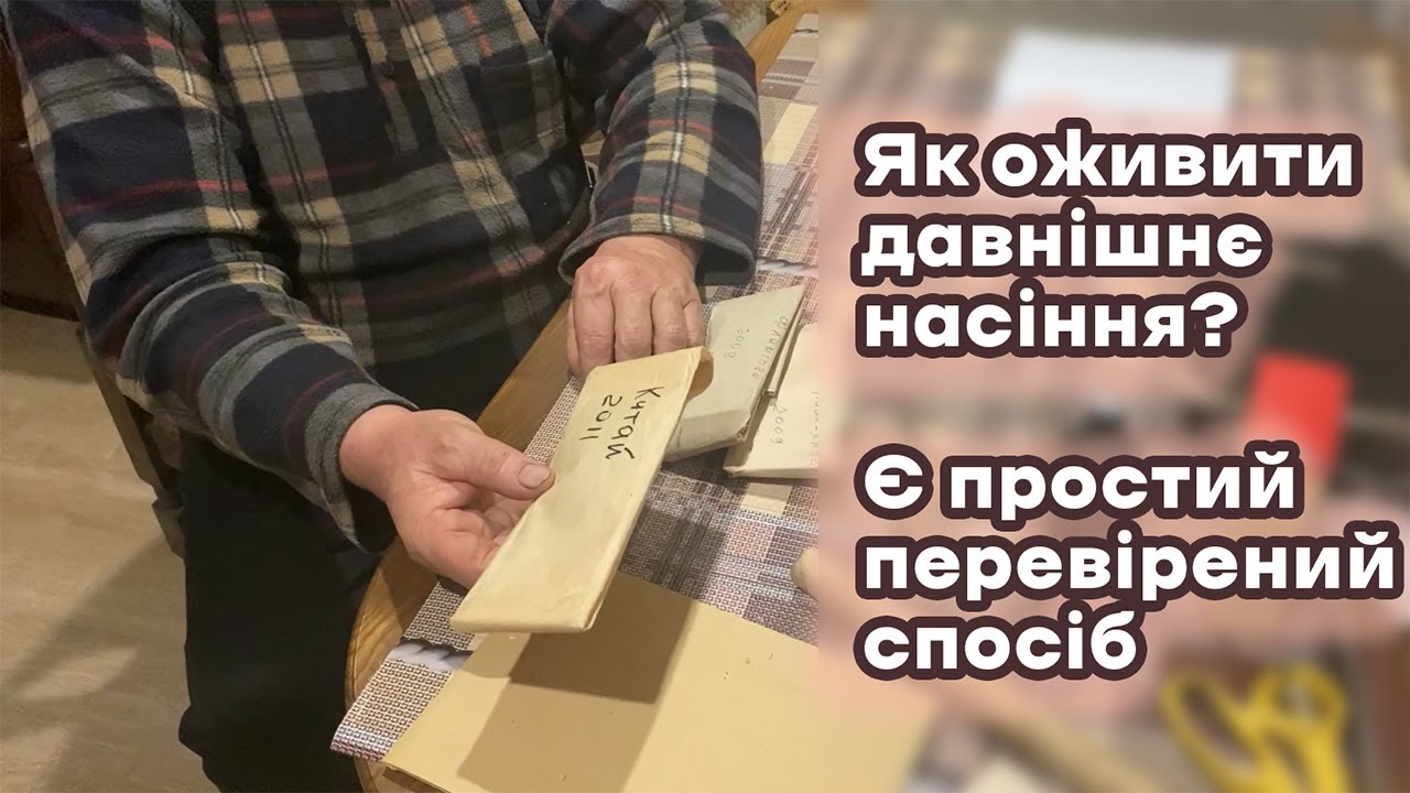 Як оживити давнішнє насіння? Є простий перевірений спосіб
