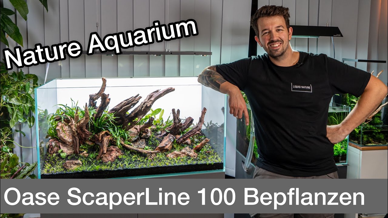 Nature Aquarium bepflanzen - Oase ScaperLine 100 | Liquid Nature