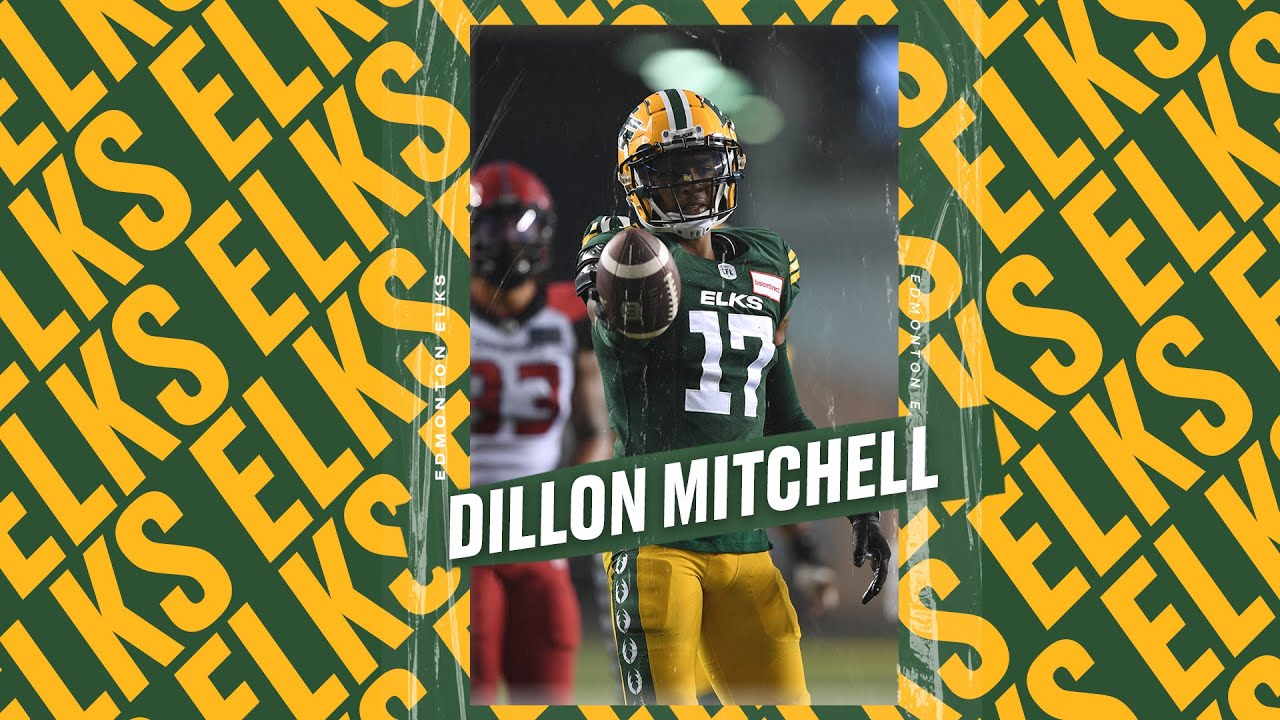 WR Dillon Mitchell 2022 CFL Highlights | Edmonton Elks
