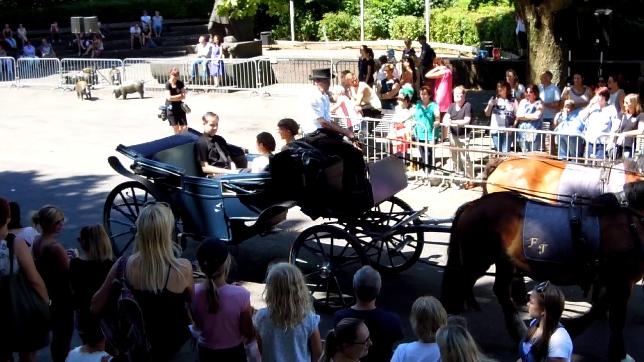 Schützenfest Zons 2018,  Sonntag großer Festzug vor der Parade (3)