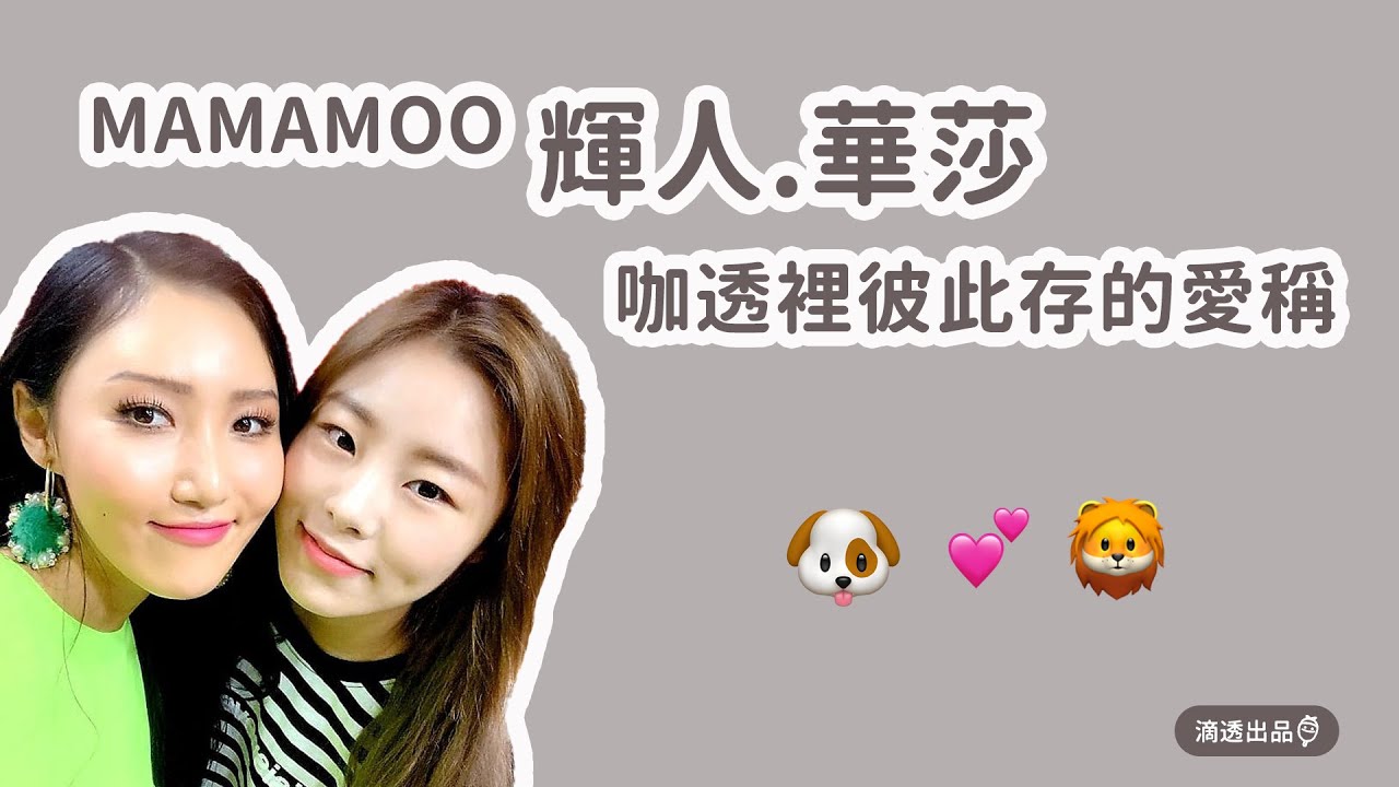 [MAMAMOO] 中字 輝人 華莎 咖透裡彼此存的愛稱